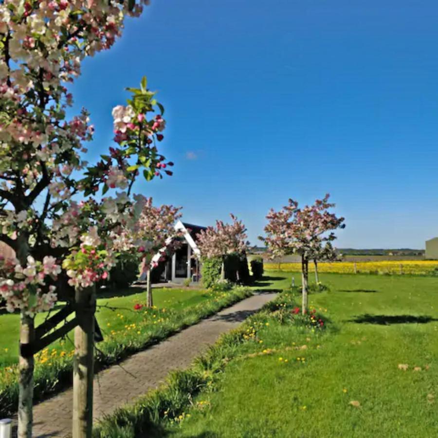 Hotelhuisje Warmenhuizen #B Екстер'єр фото